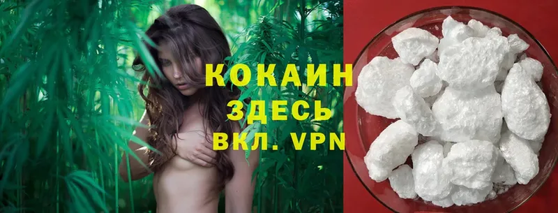 Cocaine Эквадор  Ефремов 