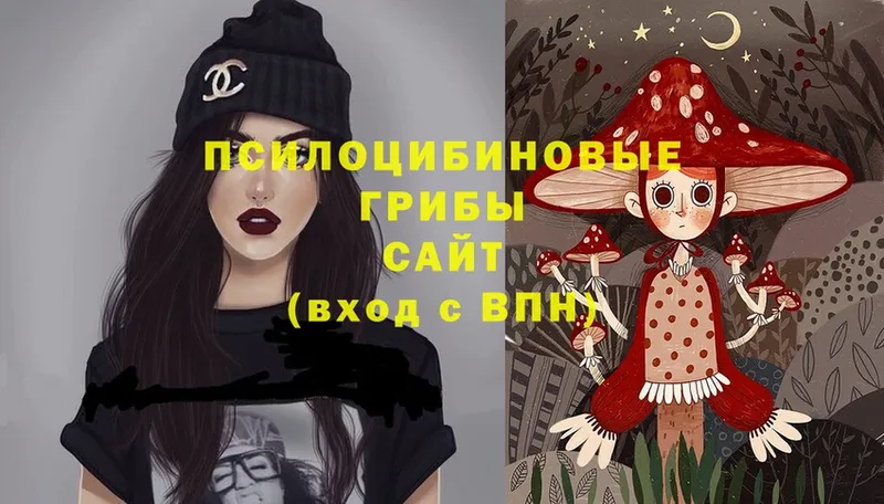 Галлюциногенные грибы MAGIC MUSHROOMS  Ефремов 